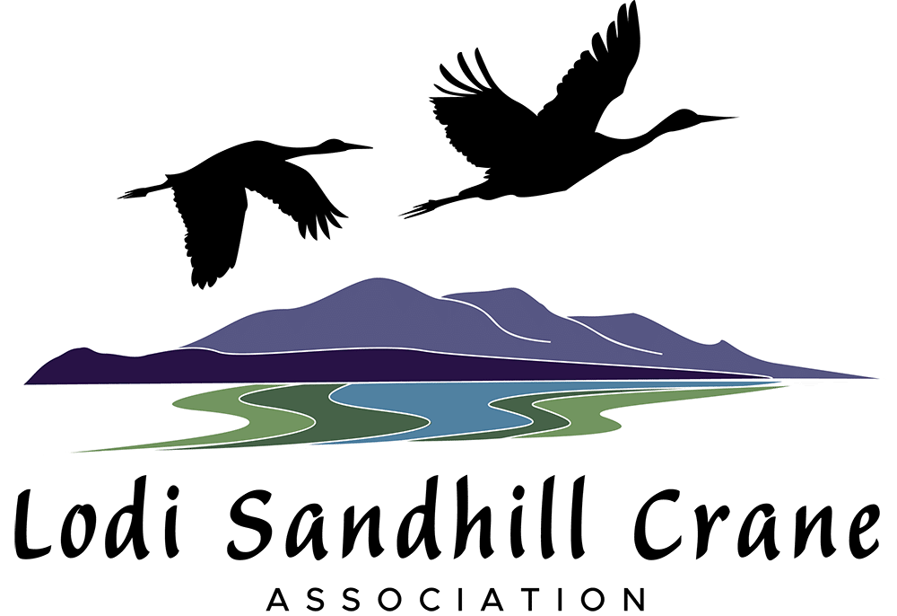 Lodi Sandhill Crane Association