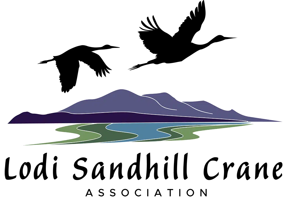 Lodi Sandhill Crane Association