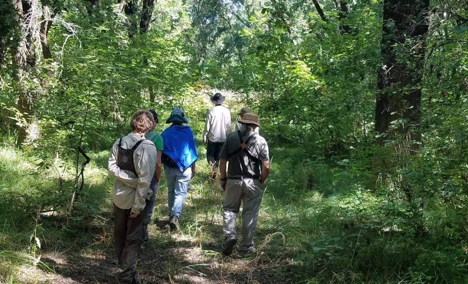 Categorized Tours – Lodi Sandhill Crane Association